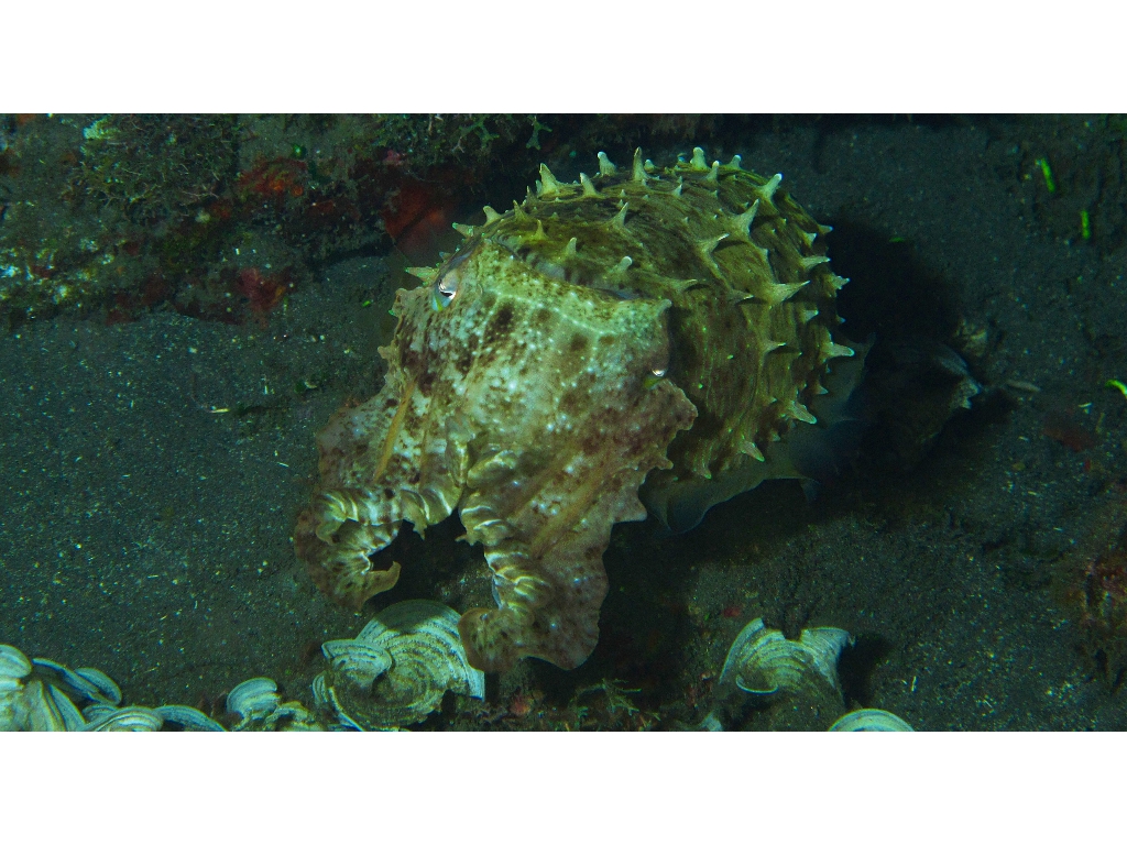 IMG_6303 (1) IMG_6303 (1)